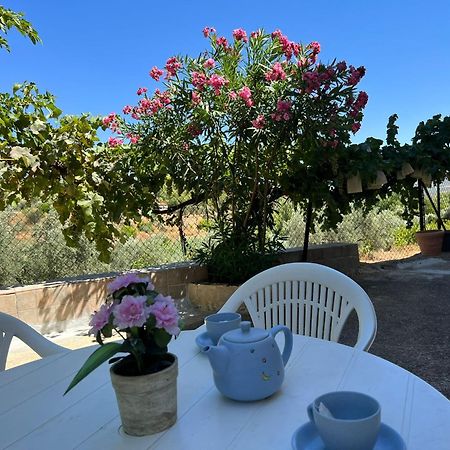 Casa Rural Del Saz Yeste Dış mekan fotoğraf