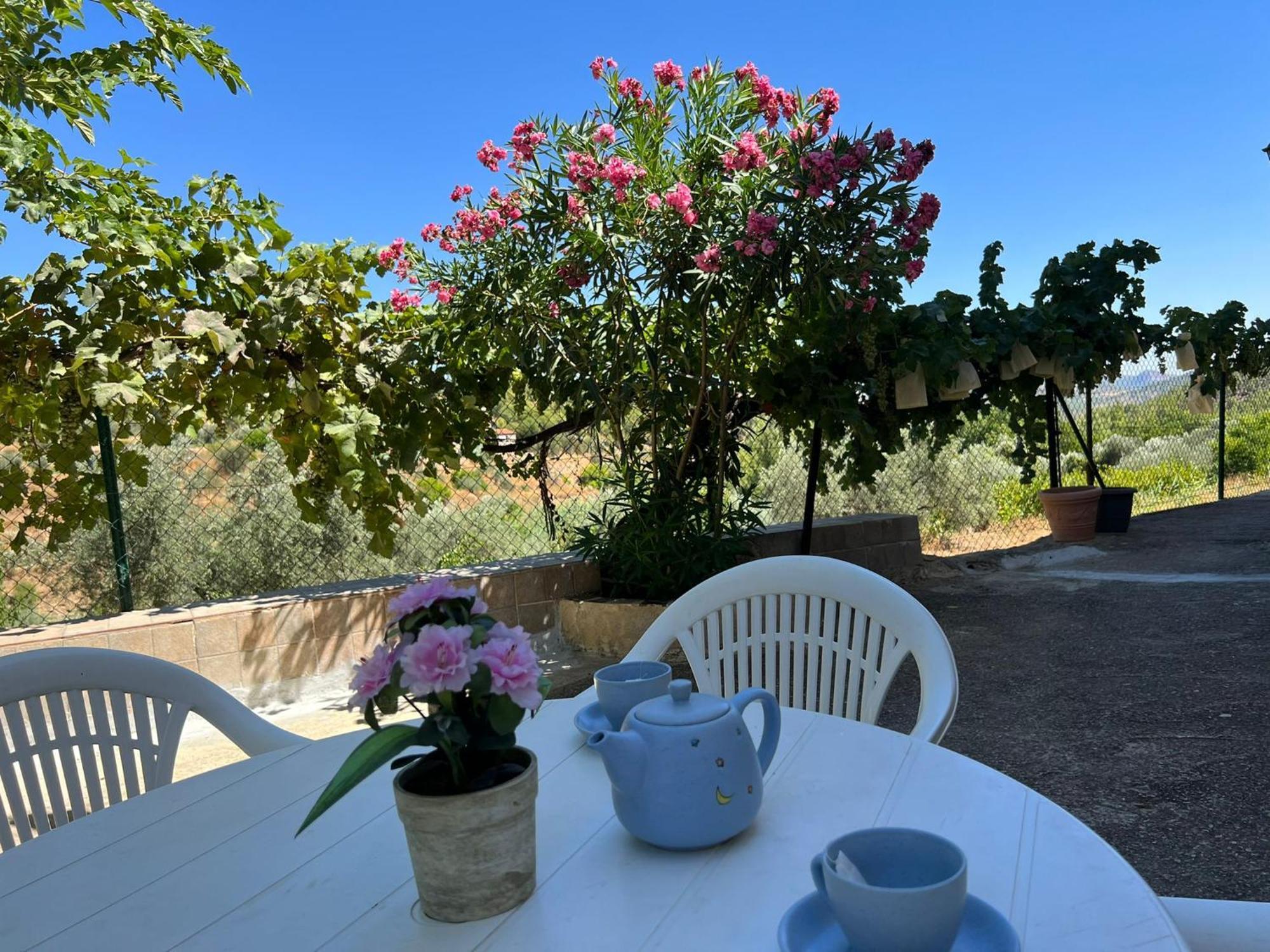 Casa Rural Del Saz Yeste Dış mekan fotoğraf